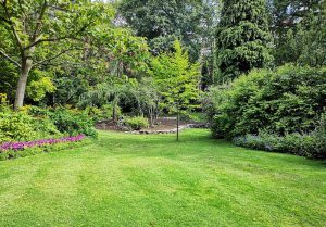 Optimiser l'expérience du jardin à La Neuveville-devant-Lépanges